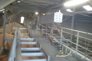 Spécialiste de la plateforme industrielle